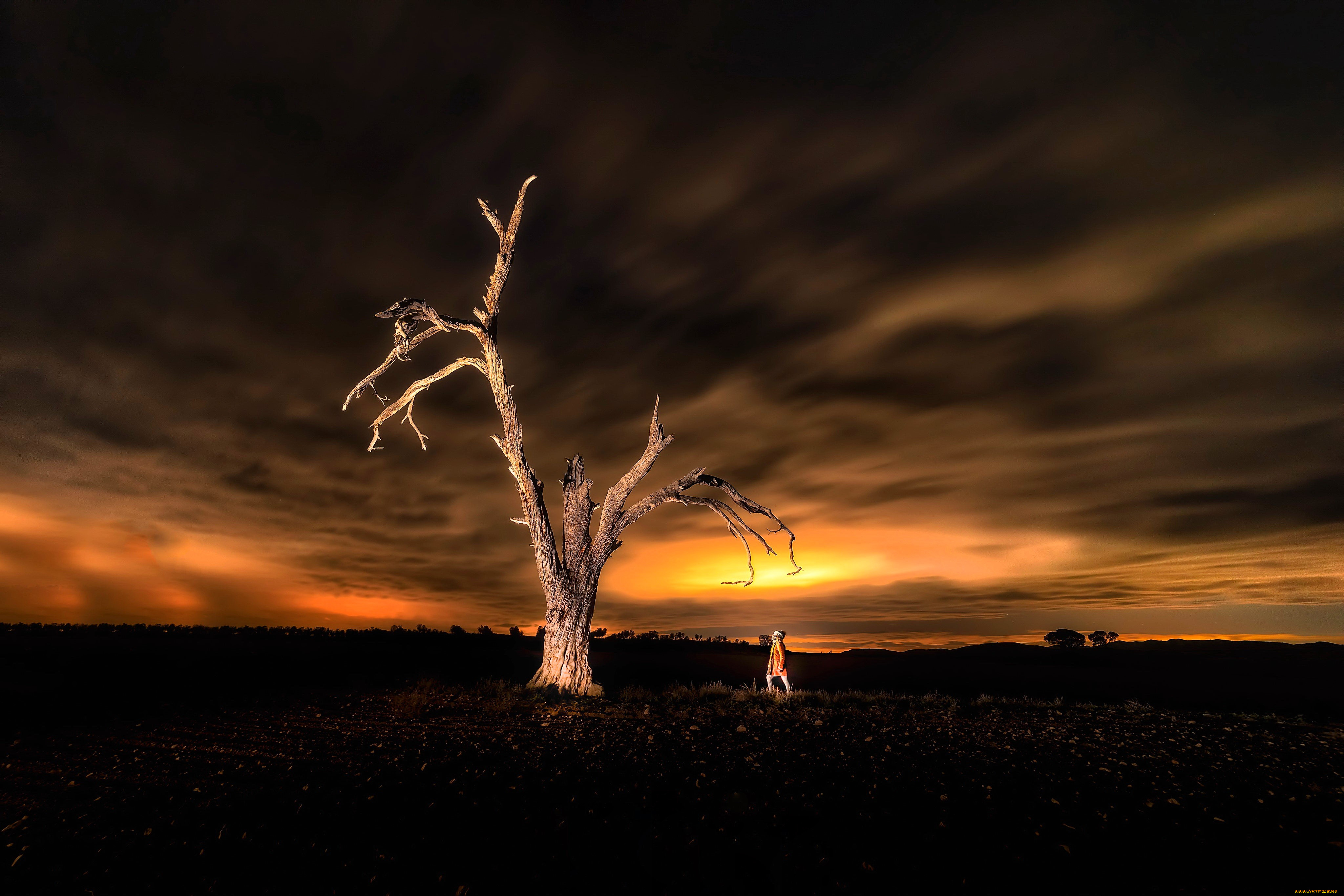 �������, �������, ������, ����, ����, �����, ������, �������